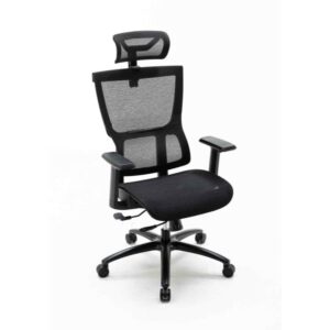 Ghế công thái học Warrior WEC506 (Đen)