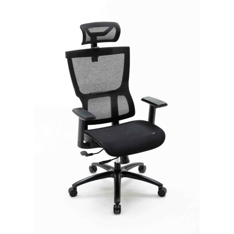 Ghế công thái học Warrior WEC506 (Đen)