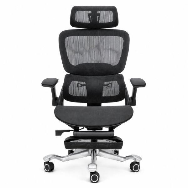 Ghế Công Thái Học (Black) - Mã: 892, Lưng Lưới Vẩy Rồng, Tay Vịn 5D, Chân Nhôm 150kg 2 Ghế Công Thái Học (Black) - Mã: 892, Lưng Lưới Vẩy Rồng, Tay Vịn 5D, Chân Nhôm 150kg - Ảnh 2