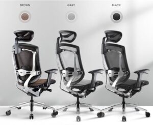 Ghế Công Thái Học GTChair Marrit X - Mã: MARRIT 25 ghế công thái học cao cấp chống đau lưng