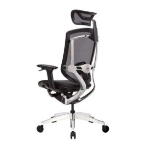 Ghế Công Thái Học GTChair Marrit X - Mã: MARRIT 26 ghế ergonomic GTChair Marrit
