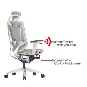 Ghế Công Thái Học GTChair Marrit X - Mã: MARRIT 23 GTChair Marrit X