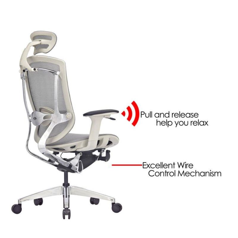 Ghế Công Thái Học GTChair Marrit X - Mã: MARRIT 5 Ghế Công Thái Học GTChair Marrit X - Mã: MARRIT - Ảnh 5