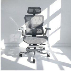 Ghế công thái học lưới vẩy rồng (Gray) - Mã: 891, Tay vịn 5D, Chân hợp kim nhôm 15 ghe cong thai hoc luoi vay rong 891 tay vin 5d chan hop kim nhom 2