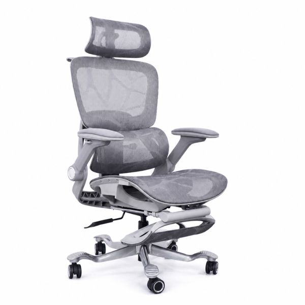 Ghế công thái học lưới vẩy rồng (Gray) - Mã: 891, Tay vịn 5D, Chân hợp kim nhôm 1 Ghế công thái học lưới vẩy rồng (Gray) - Mã: 891, Tay vịn 5D, Chân hợp kim nhôm