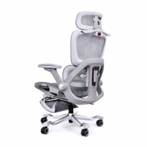 Ghế công thái học lưới vẩy rồng (Gray) - Mã: 891, Tay vịn 5D, Chân hợp kim nhôm 21 ghe cong thai hoc luoi vay rong 891 tay vin 5d chan hop kim nhom 9
