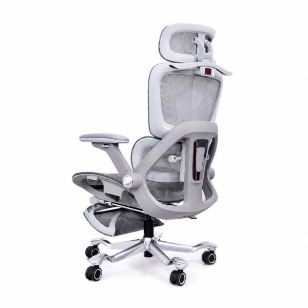 Ghế công thái học lưới vẩy rồng (Gray) - Mã: 891, Tay vịn 5D, Chân hợp kim nhôm 26 ghế ergonomic tay vịn 5d
