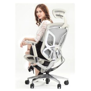 Ghế Ergoup Gtchair Dvary Butterfly - Mã: DVARY 30 GTChair Butterfly chính hãng
